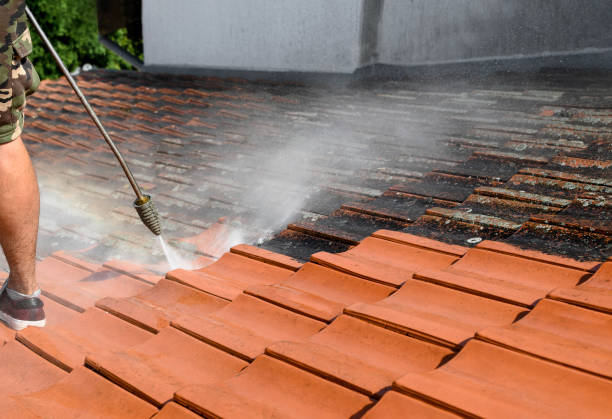 Best Deck Cleaning Services  in Richmond Heights, FL