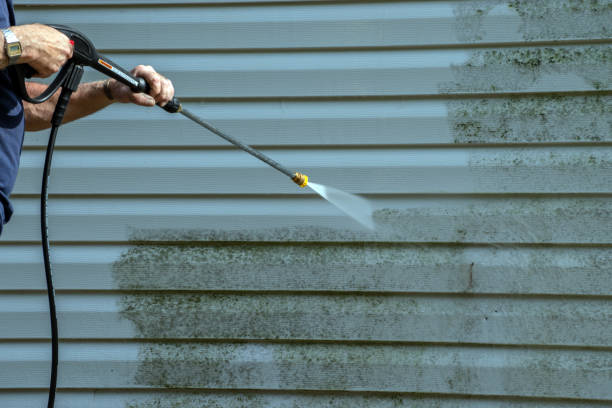 Best Roof Power Washing Services  in Richmond Heights, FL